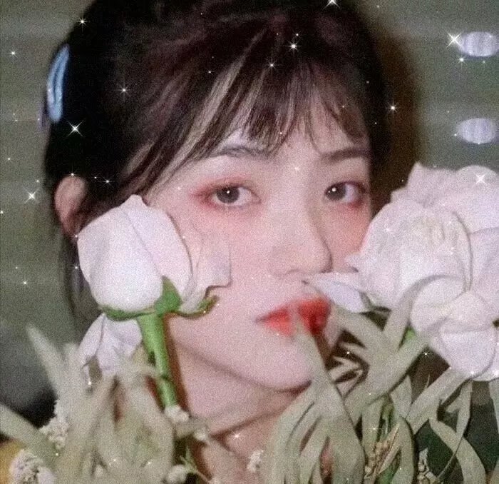 菩萨戒 海报